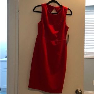 Brand new lulus dress